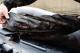 Fox Camo Boat Seat (CLU411) 11
