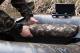 Fox Camo Boat Seat (CLU411) 8