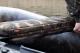 Fox Camo Boat Seat (CLU411) 9