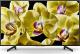 Telewizor Sony  KD-49XG8096 LED 49'' 4K (Ultra HD) Android 1