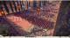 Total War: Rome II - Collector's Edition PC 1