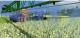 Farming Simulator 2013 4