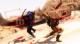 Ninja Gaiden 3 Xbox 360 5