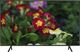 Telewizor Samsung UE43RU7172UXXH LED 43'' 4K (Ultra HD) Tizen 1