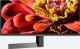 Telewizor Sony KD-49XG9005B LED 49'' 4K (Ultra HD) Android 6