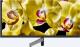 Telewizor Sony KD-75XG8096B LED 75'' 4K (Ultra HD) Android 5