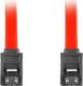 Lanberg SATA - SATA, 0.3m, Czerwony (CA-SASA-14CU-0030-R) 1