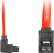 Lanberg SATA - SATA, 0.5m, Czerwony (CA-SASA-13CC-0050-R) 1
