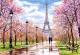 Castorland Puzzle Romantic Walk in Paris 1000 elementów 2