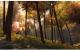 Guild Wars 2: Heroic Edition PC 11