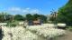 Tropico 4: Plantador DLC PC, wersja cyfrowa 1