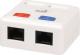 Solarix gniazdo 2 x CAT5e UTP RJ45 montowane na białym tle (na dole wylot) 1