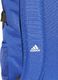 Adidas Plecak sportowy Power IV Back niebieski (DY1970) 7