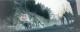 DIRT 3 COMPLETE EDITION Xbox 360 3