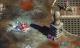 Magicka: Gamer Bundle PC, wersja cyfrowa 5