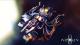 NeXus: One Core PC, wersja cyfrowa 4
