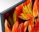 Monitor Sony Bravia FW-55BZ35F 5