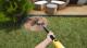 House Flipper: Garden Flipper DLC PC, wersja cyfrowa 2