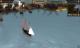 Port Royale 3 Gold + Patrician IV Gold - Double Pack PC, wersja cyfrowa 6
