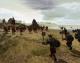 Imperium Romanum Gold PC, wersja cyfrowa 32