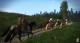 Kingdom Come: Deliverance – Band of Bastards PC, wersja cyfrowa 3