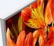 Telewizor Sony KD-55XF8577 LED 55'' 4K (Ultra HD) Android 12