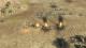 Sudden Strike 4 - Africa Desert War PC, wersja cyfrowa 12