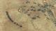 Sudden Strike 4 - Africa Desert War PC, wersja cyfrowa 14