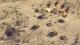 Sudden Strike 4 - Africa Desert War PC, wersja cyfrowa 15