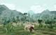 Shelter - The Heart Edition PC, wersja cyfrowa 17