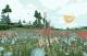 Shelter - The Heart Edition PC, wersja cyfrowa 18