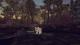 Paws: A Shelter 2 Pitter Patter Edition PC, wersja cyfrowa 5