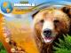 The Wildlife Creative Studio PC, wersja cyfrowa 3