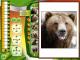 The Wildlife Creative Studio PC, wersja cyfrowa 4