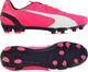 Puma Buty piłkarskie Puma EvoSpeed 3.3 Fg 103014 03 44 1