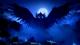 Ori and the Blind Forest 12