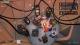 Project Winter PC, wersja cyfrowa 4
