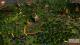 Europa Universalis IV - Catholic League Unit Pack PC, wersja cyfrowa 7