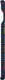 Samsung Etui Smart cover do Samsung Galaxy S10+ Król Lew (GP-G975HIFGKWA) 2