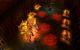 Dungeons: Map Pack PC, wersja cyfrowa 12