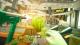 Shooty Fruity PC, wersja cyfrowa 1