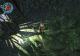 The Bard's Tale: Remastered and Resnarkled PC, wersja cyfrowa 15