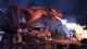 The Elder Scrolls Online: Elsweyr (Upgrade Pack) PC, wersja cyfrowa 4