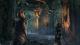 The Elder Scrolls Online: Elsweyr PC, wersja cyfrowa 11