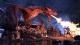 The Elder Scrolls Online: Elsweyr PC, wersja cyfrowa 4