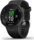 Zegarek sportowy Garmin Forerunner 45 Czarny  (010-02156-15) 1