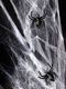 Party Deco Pająki plastikowe czarne na Halloween - 10 szt. uniwersalny 4