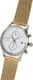 Zegarek Vendetta Zegarek damski Silver Lake white/gold mesh VE1058 uniwersalny 2
