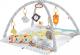 Fisher Price Edukacyjna mata sensoryczna deluxe (GKD45) 6