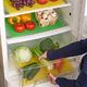Orion Mata do lodówki antybakteryjna antypleśniowa FRESH 5